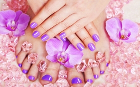 Metro Beauty SPA - Gallery & Portfolio